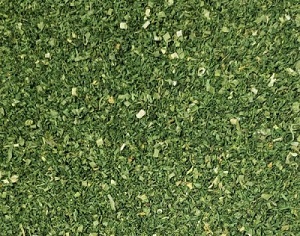 Ghormeh Sabzi Mix - KFP